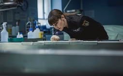 Die Spur der Knochen