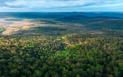 In den Feuerwäldern Westaustraliens - Die Walpole Wilderness