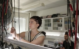 Sprechende Schweine - KI übersetzt Tiersprache