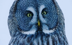 Lappland - Reich der schlafenden Giganten