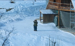 Anatomie eines Falls