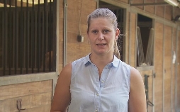 Auf Streife - Die Spezialisten