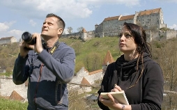 Der Waldrapp: Zugvogel im Aufwind