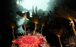 Expeditionen ins Tierreich