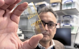 Gehirn unter Strom - Hilfe bei Depression, Epilepsie und Parkinson?