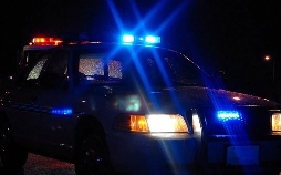 Cops - Verbrecher im Visier