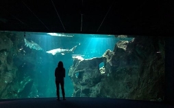 42 - Die Antwort auf fast alles