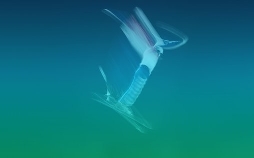 Ski Freestyle: Mailand Cortina