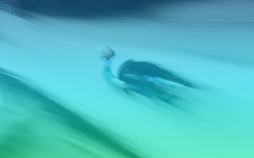 Rennrodeln: Mailand Cortina