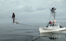 Harpoon Hunters