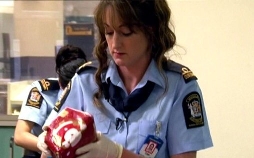 Border Patrol New Zealand - Einsatz an der Grenze