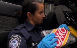 Border Force USA
