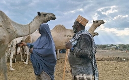 360° - Die GEO-Reportage