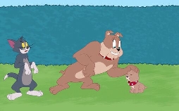 Die Tom und Jerry Show