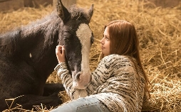 Ostwind 3 - Aufbruch nach Ora