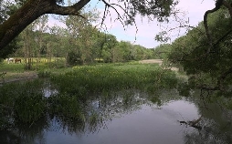 Stadt Land Kunst | TV-Programm von arte