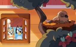 Bluey