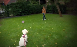 Liebste Fellnasen - Abenteuer Hundeschule