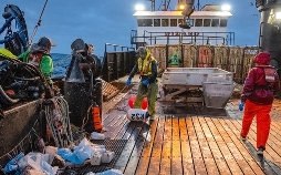 Fang des Lebens - Der gefährlichste Job Alaskas