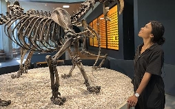 Rückkehr der Urzeit-Giganten