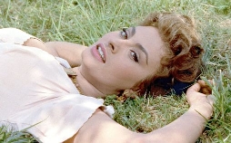 Die schöne Müllersfrau