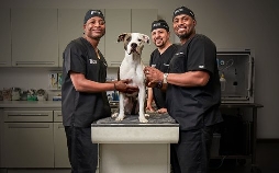 Die Tierärzte von Houston