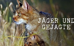 Jäger und Gejagte: Die Tierwelt der Iberischen Halbinsel