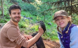 Nina und die wilden Tiere