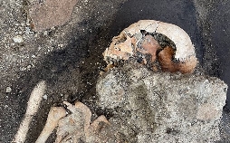 Pompeji, Geschichte einer Katastrophe