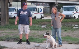 Pitbulls auf Bewährung