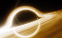 42 - Die Antwort auf fast alles