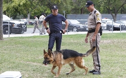 CSI: Den Tätern auf der Spur