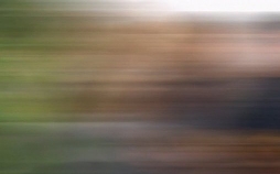 Meine Frau, die Wildnis und ich