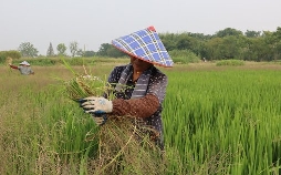 Aufstieg und Fall großer Völker