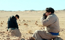 Die Wölfe kommen immer nachts