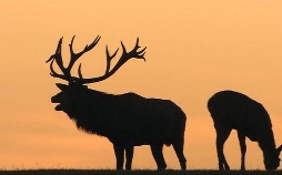 Böhmen - Land der hundert Teiche