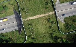 Wildwechsel: Tiere auf Achse