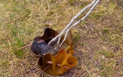 Meine Frau, die Wildnis und ich