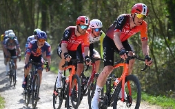 Radsport: In Flandern Fields