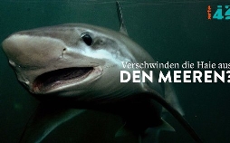 42 - Die Antwort auf fast alles