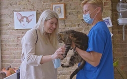 Australiens Tierrettung - Einsatz am Bondi Beach
