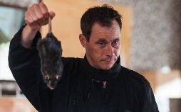 Der König von Berlin