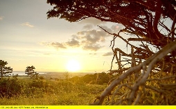 mareTV: Dänemarks Insel Møn