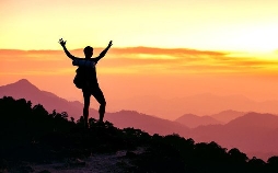 Bailey - Ein Hund kehrt zurück