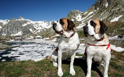 360° - Die GEO-Reportage