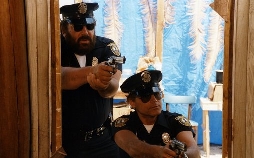 Die Miami Cops