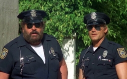 Die Miami Cops