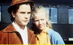 Die Mädels vom Immenhof