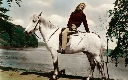 Die Mädels vom Immenhof