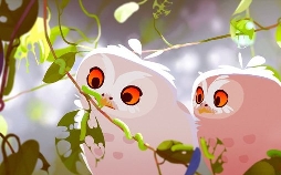 Shoooms abenteuerliche Reise